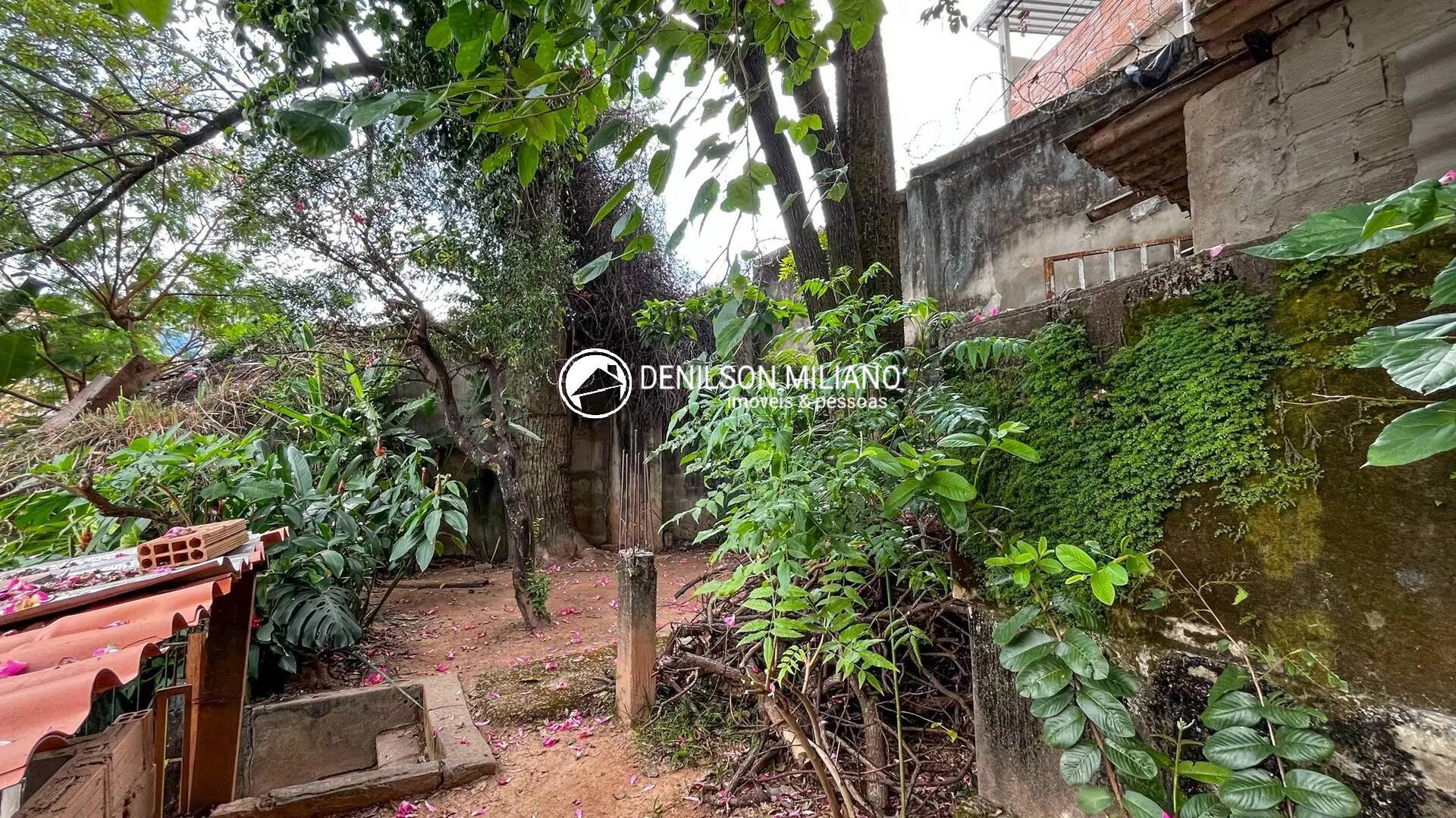 Casa, 4 quartos, 317 m² - Foto 48