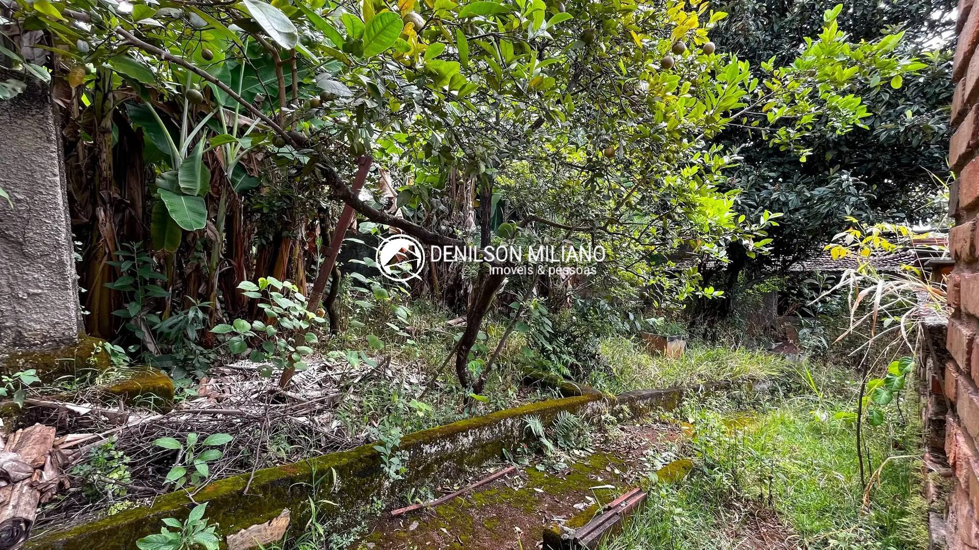 Casa, 4 quartos, 350 m² - Foto 2