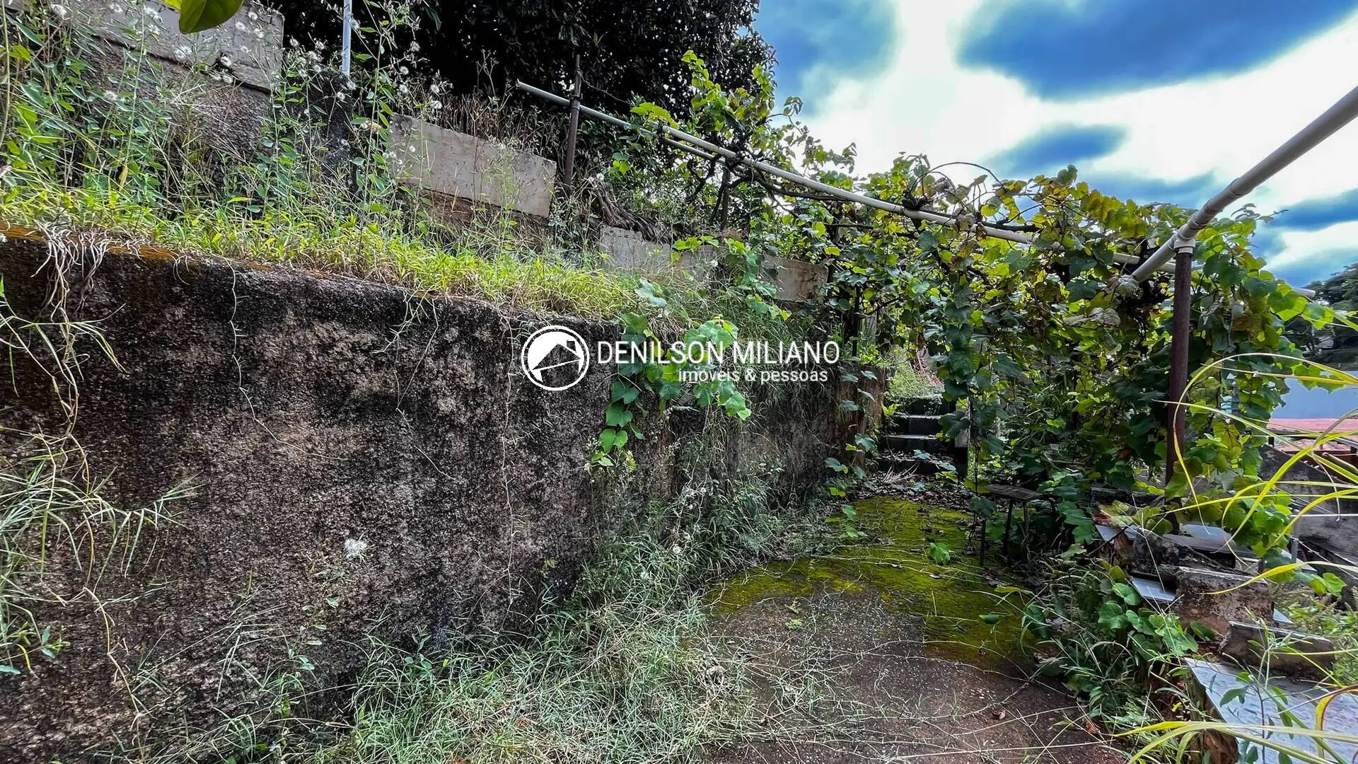 Casa, 4 quartos, 350 m² - Foto 3